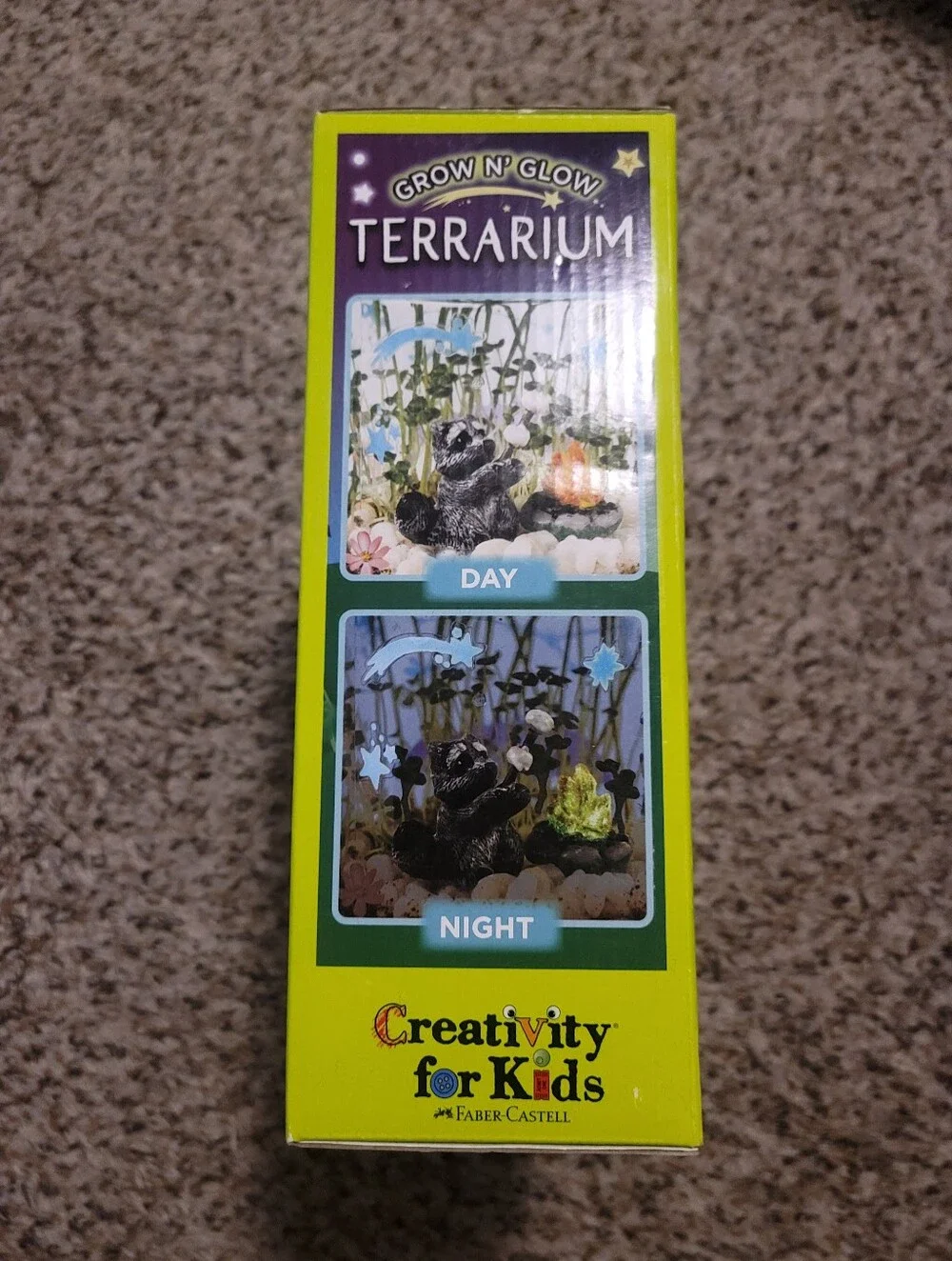 Terrarium Kit